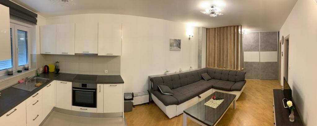 Apartman Bistrica 利夫诺 外观 照片